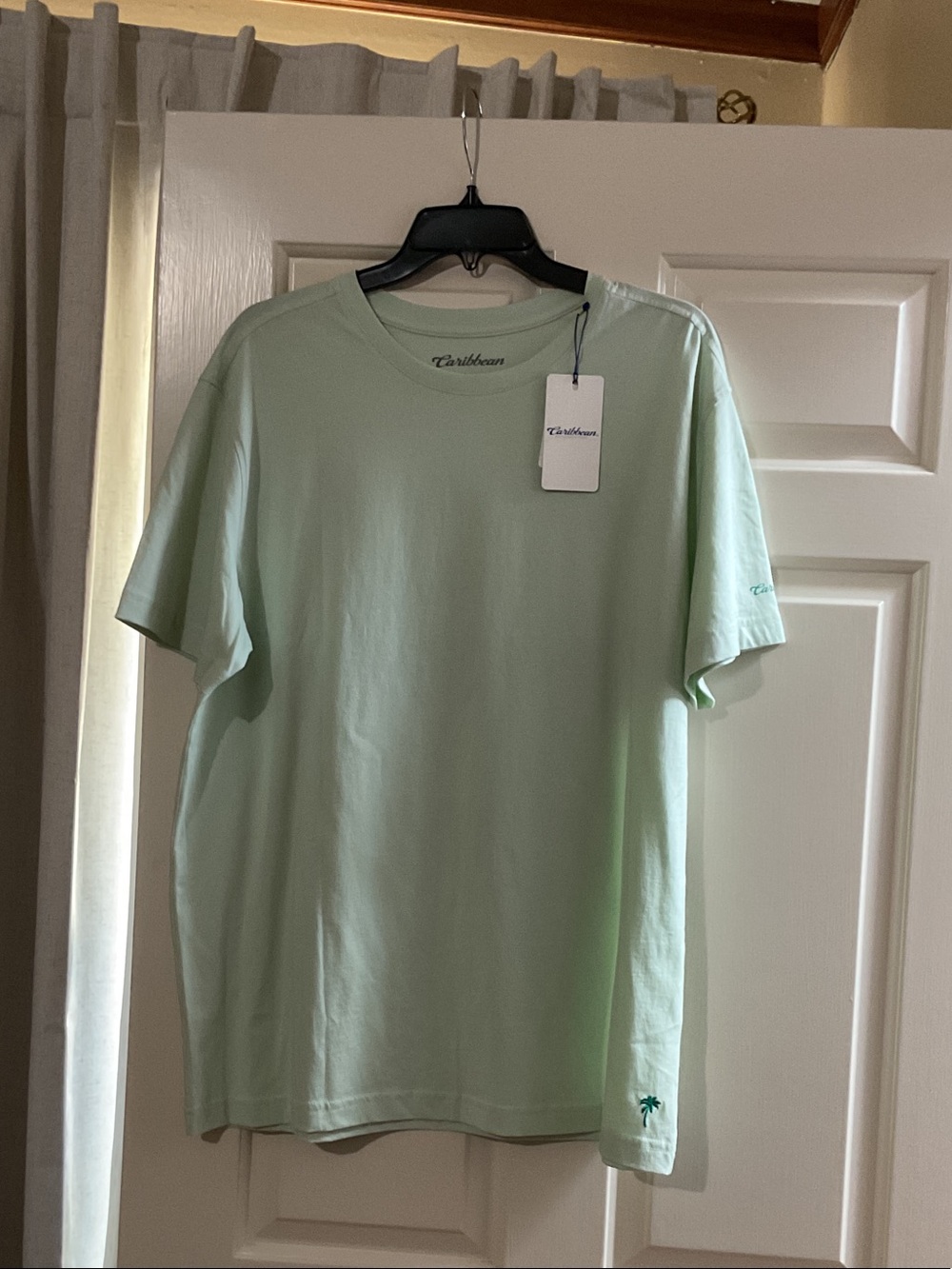 Caribbean Men's graphic Crewneck T-Shirt in Light Mint